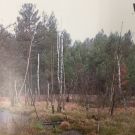 274896608_637896323951743_8260994221385677135_n