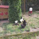 307420989_626900245809965_5327546240882833019_n