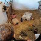 311451974_1132762740674197_5996199868368181276_n