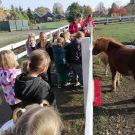 311887239_512923637024767_3966664809658062067_n