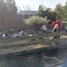 311905253_421663456712564_3341447954437434439_n