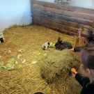 310989863_488469499683630_1916882570398474605_n