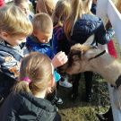 309339754_791263255439048_6007004878476367969_n