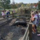 311500483_805644683821835_8498622061751216909_n