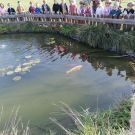 311453257_1515776922250718_8514330372692139146_n