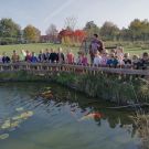 311394114_801244557852347_3821640548793007211_n