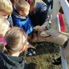 311994973_1119827295319304_7421064388022434729_n