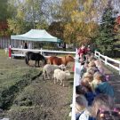 311275201_2090240624503434_8637212001938420309_n