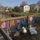 311283272_1478614029289592_1636520116648148447_n