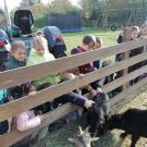 311916488_2957606907868858_4099106317889066711_n