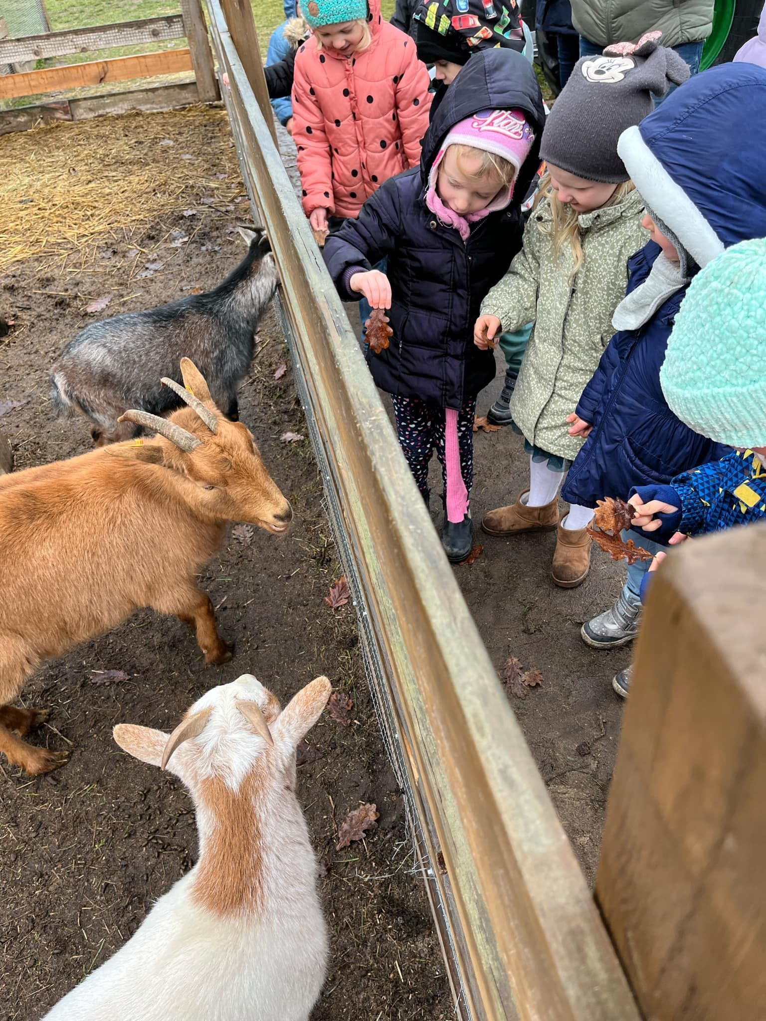 480753029_655676053637286_7309079784266855709_n