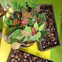 553309179_816899227514967_7740915848680737079_n