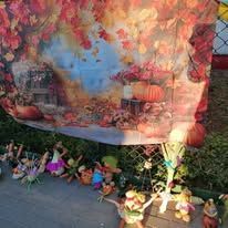 552560936_816905987514291_5625539069582418533_n