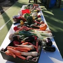 554274458_816906340847589_5511425451759501441_n