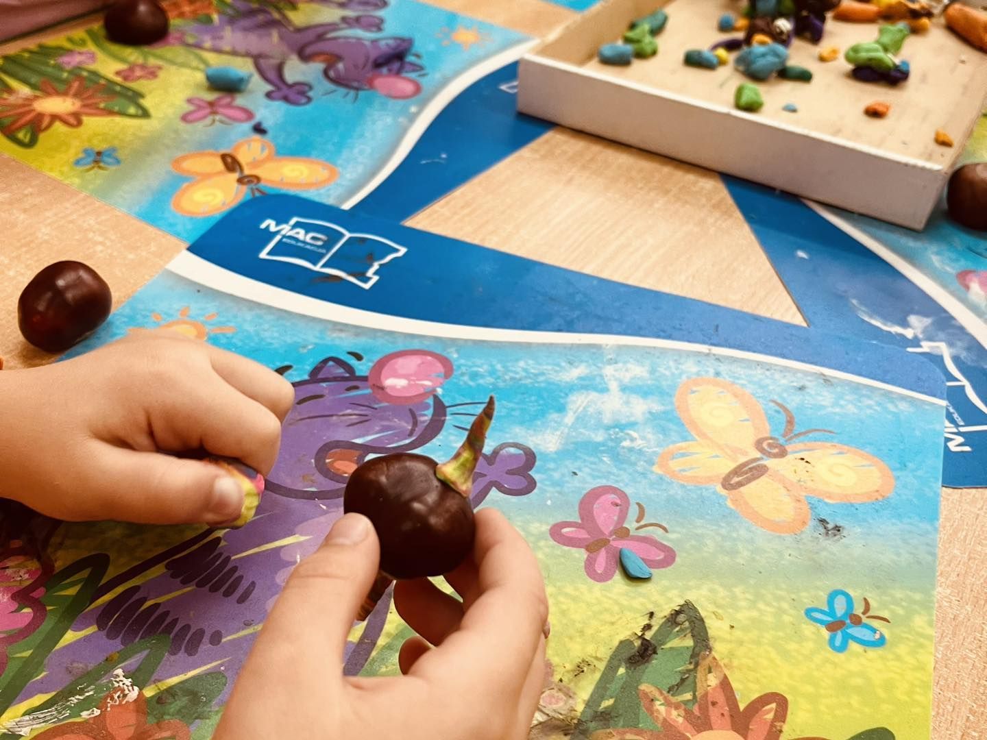 558154462_824285520109671_7330920873186632614_n