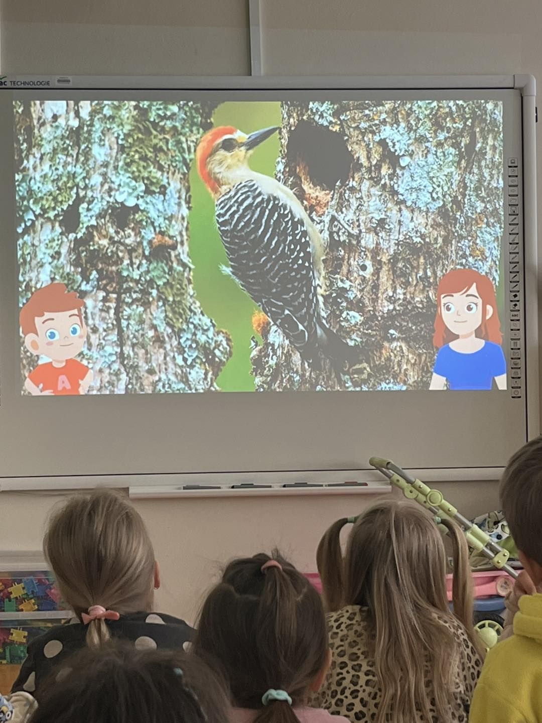 660198795_968192075719014_3843981342317569327_n