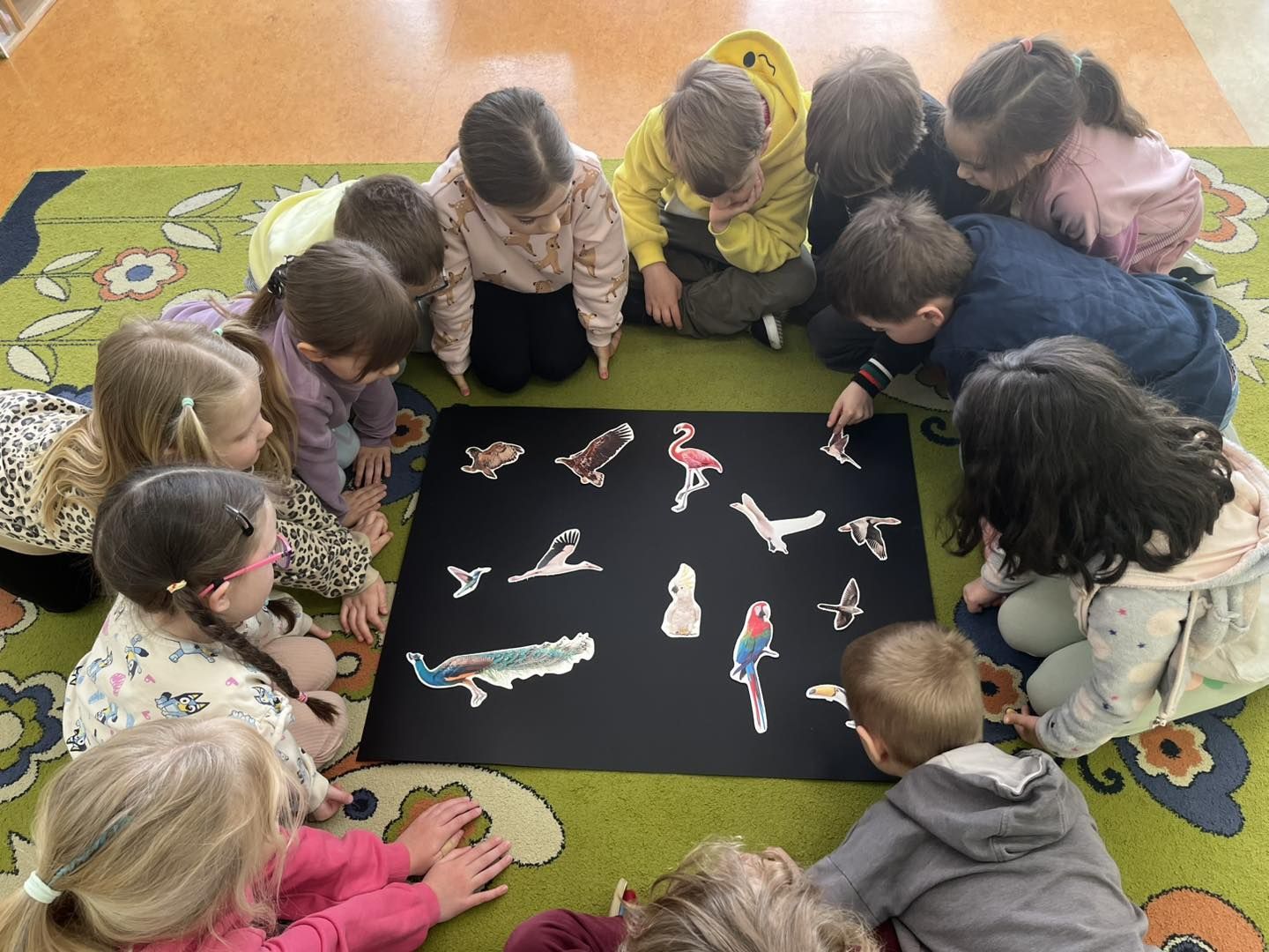 658975772_968192045719017_357992692867560455_n